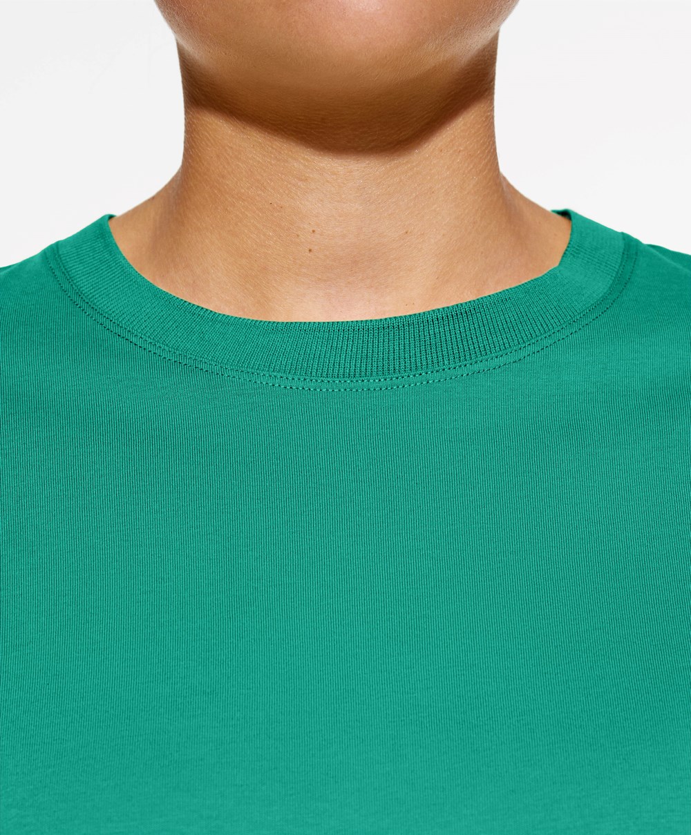 Aqua Green Oysho Washed 100% Cotton Crop T-shirt | OYRG16028