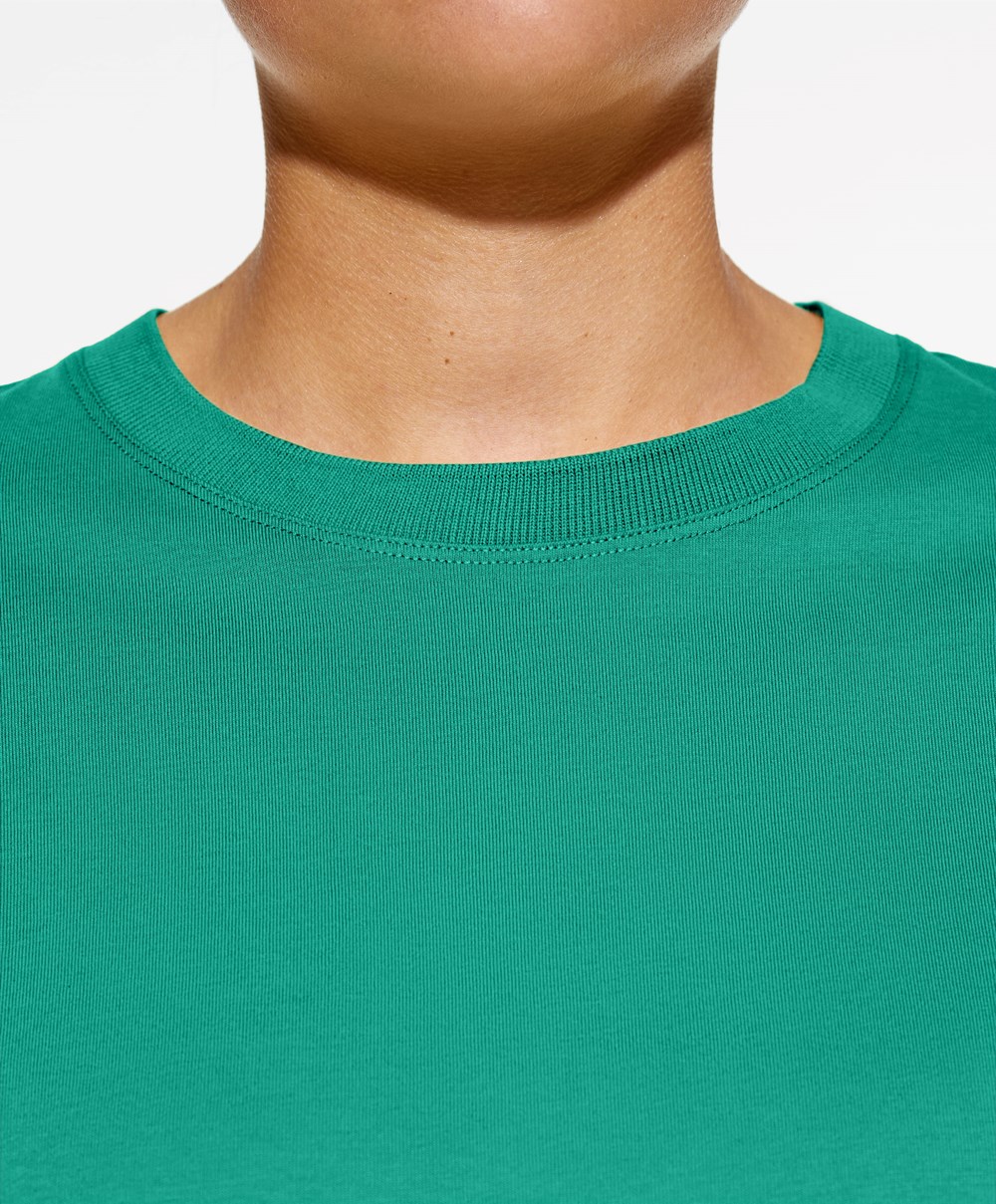 Aqua Green Oysho Washed 100% Cotton Crop T-shirt | SOEZ23149