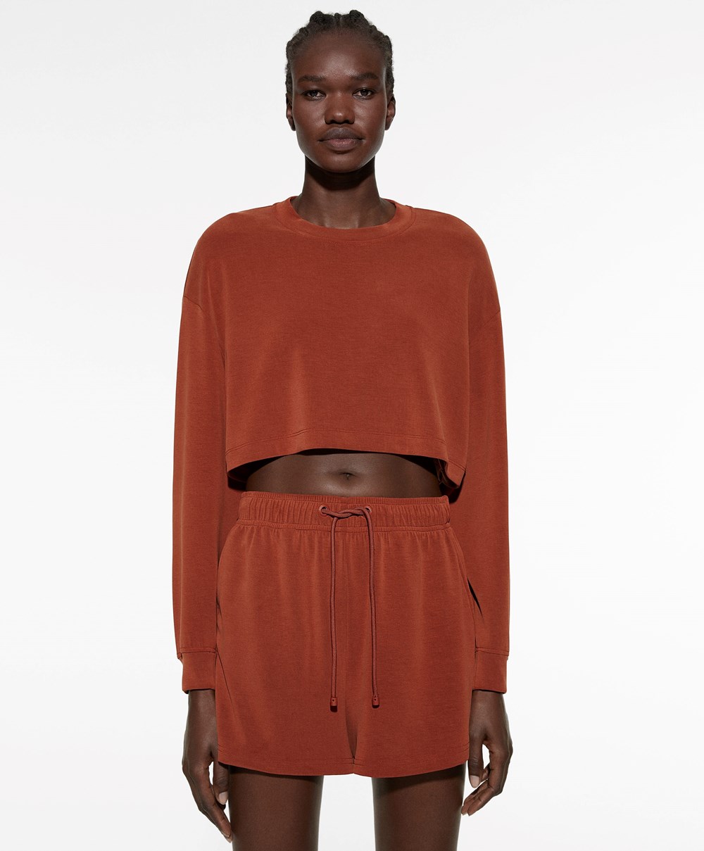 Brown Oysho Crop Modal Sweatshirt | JXRY12067